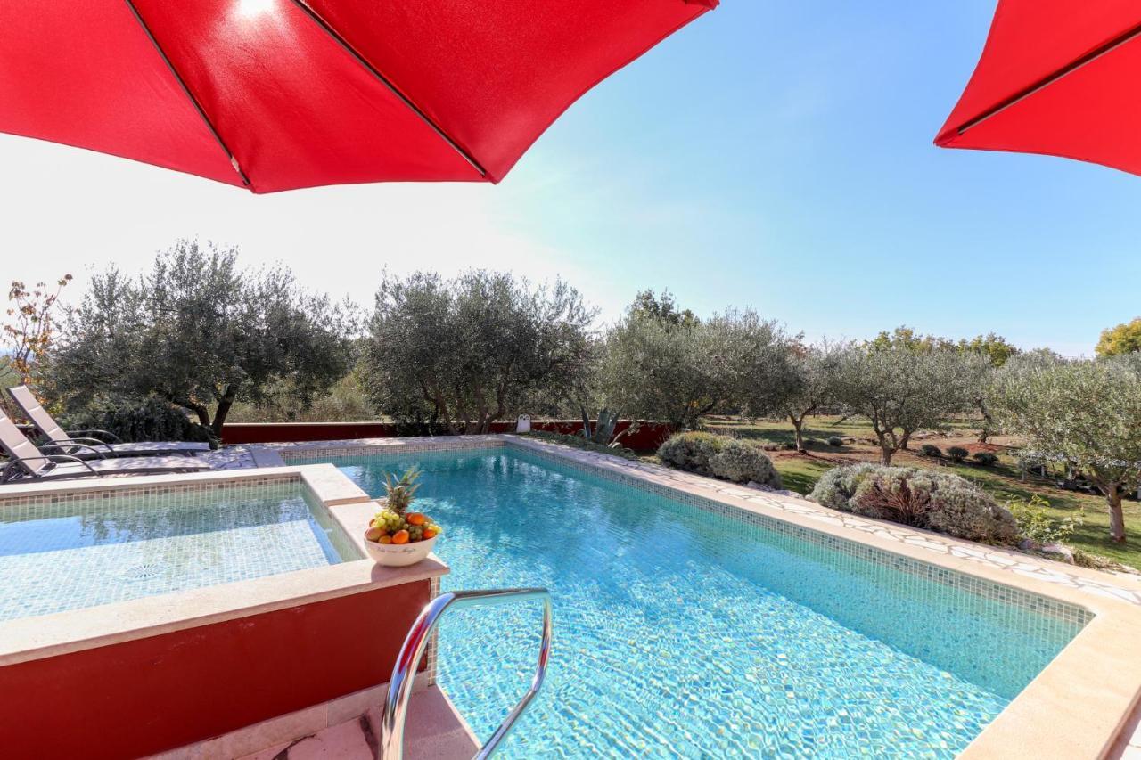 Villa Nona Marija Sveti Lovreč Pazenatički Dış mekan fotoğraf